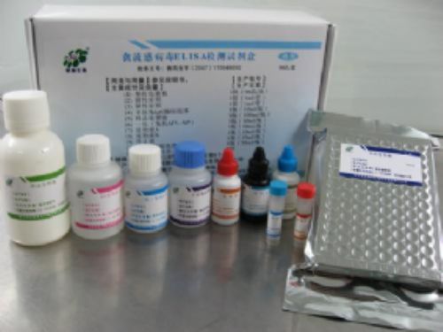 人磷脂酶A2(PL-A2)ELISA试剂盒