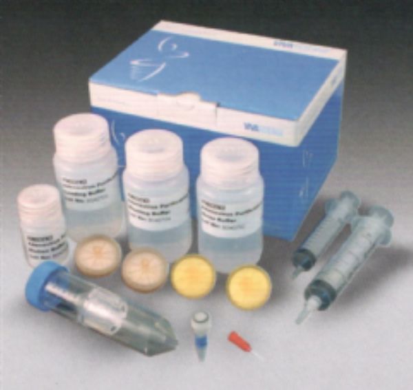 大鼠维生素D2(VD2)ELISA试剂盒