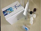 待测人1,3-二磷酸甘油酸(1,3-DPG)ELISA试剂盒价格