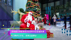汇聚多元文化，点亮公益爱心 深圳国王学校举办冬日圣诞庆典