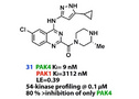 高活性高选择性 PAK4 抑制剂的发现 | MedChemExpress