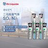 二氧化硫標準氣體SO2 1.7L/4L/8L 全國配送
