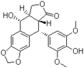 4'-去甲基鬼臼毒素 40505-27-9