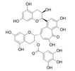 茶黄素-3'-没食子酸酯（TF-3'-G） 28543-07-9
