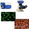 上海翰途 HT1600CN 1600萬像素彩色高分辨率科學相機
