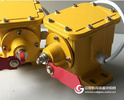 BZL-K220防爆撕裂检测装置