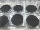 CN-CAS水系混合纤维素MCE微孔滤膜0.22/0.45um