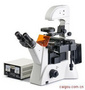 倒置荧光显微镜FM-600