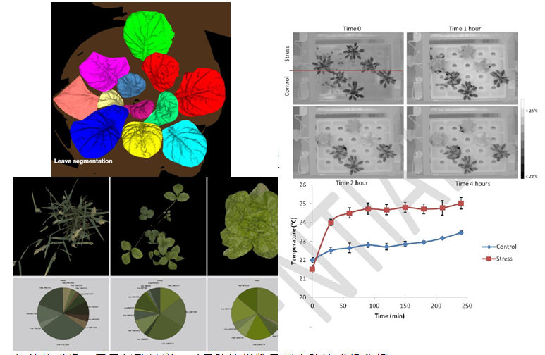 PlantScreen-R移动式植物表型成像分析系统