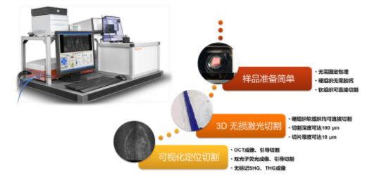 双光子显微切割系统带你领略硬组织切割的高效新玩法