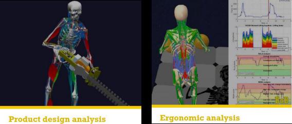 BOB生物力学教学软件