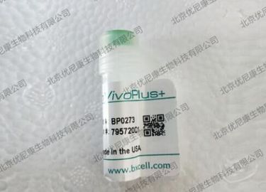 BioXcell InVivoPlus anti-mouse 4-1BB (CD137) BP0273-5MG
