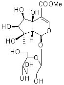 Phloyoside I 139757-58-7