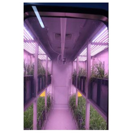 杭州利全+培養架型人工氣候室
