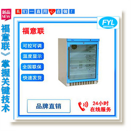 15-30℃药品保存箱FYL-YS-138L恒温冰箱