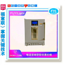 60-80度鋰電扣電測試柜配套恒溫箱FYL-YS-281L高溫測試箱