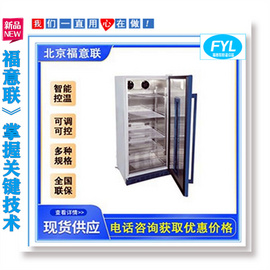 鈕扣鋰電池恒溫測試箱 測試恒溫柜