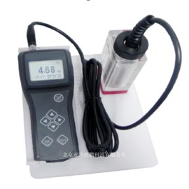 亚欧 便携式溶氧分析仪 便携式微量溶解氧仪  DP-3100 测量范围0.00～100.0 μg/L
