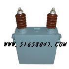压并联电力电容器     型号；BWF10.5-14-1W