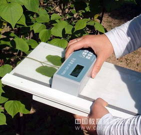 北京智能叶面积仪生产-产品型号：JZ-1241