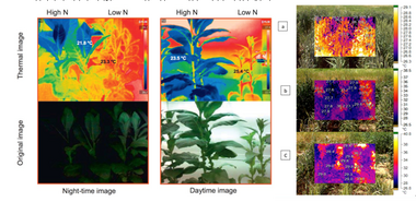 FluorCam大型植物多光谱荧光成像平台