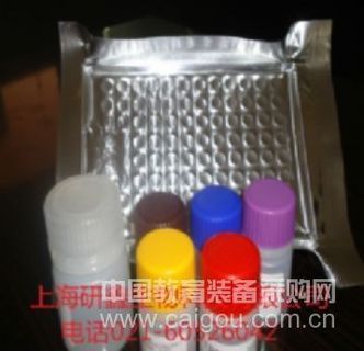 大鼠绒毛膜促性腺激素(CG)ELISA Kit
