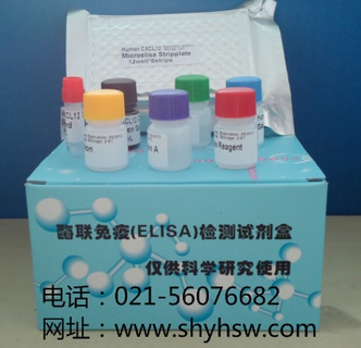大鼠抗中性粒细胞核周抗体(pANCA)ELISA Kit