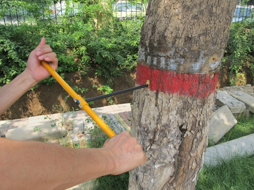 树木生长锥的使用方法及其保养