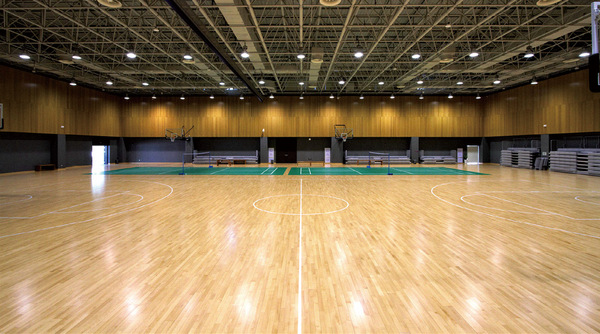 香港中文大学（深圳）体育馆运动实木地板与泳池铺装案例
