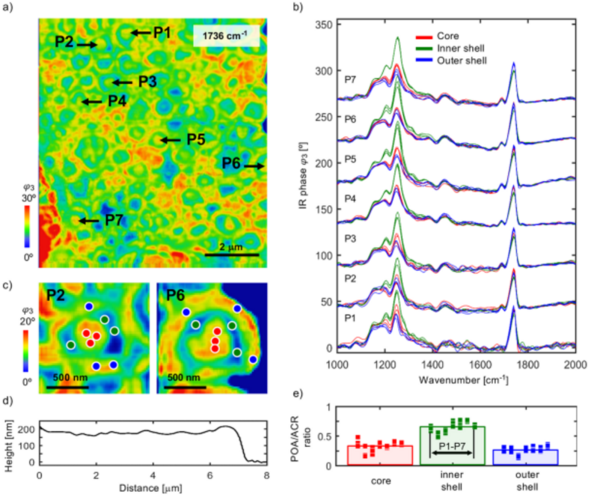 应用专题丨纳米分辨傅里叶红外光谱与成像技术（nano-FTIR & neaSNOM）助力复合聚合物领域实现新突破