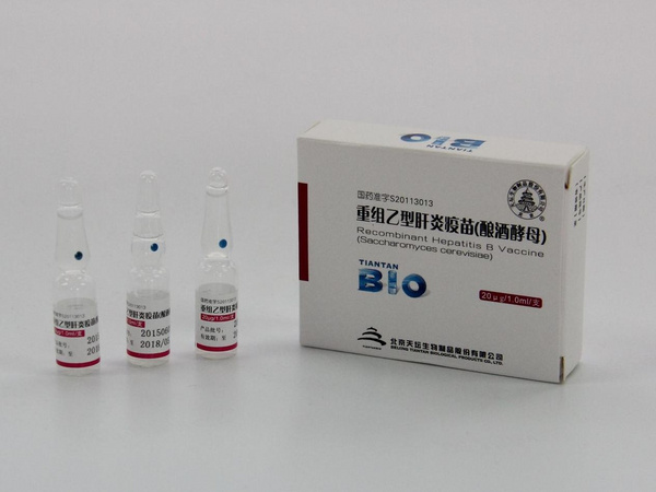酿酒酵母新可能：HPV的表达载体
