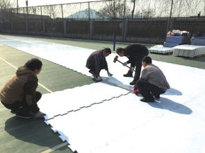 仿真冰場助力校園冰雪運動普及