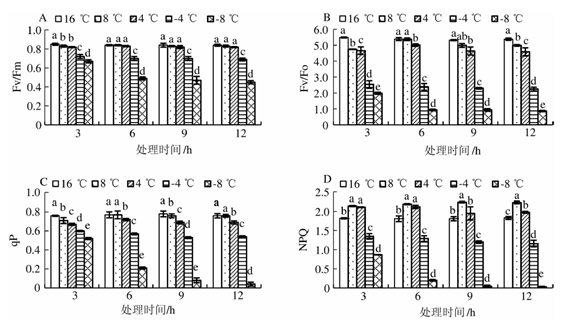 易科泰叶绿素荧光技术国内应用案例