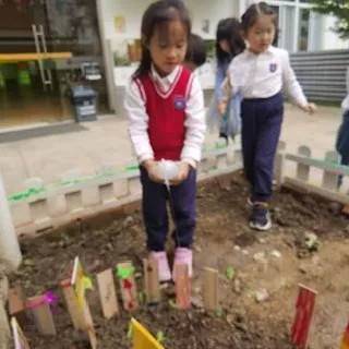 萬科幼兒園開放招生啦!創新課程活動,激發幼兒潛能從這里開始