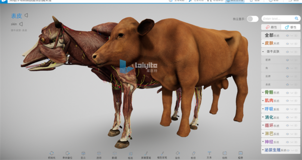 3D數字動物解剖實訓系統，譜寫動物解剖教學新篇章