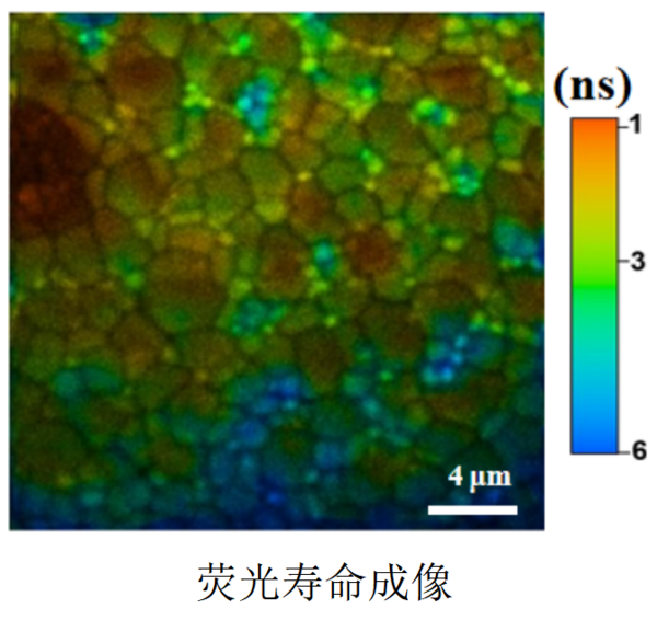 钙钛矿载流子荧光寿命成像|光电流成像