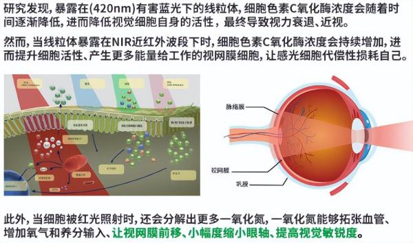 高考逆袭682分，爱德华医生护眼灯助孩子高考逆袭出惊喜