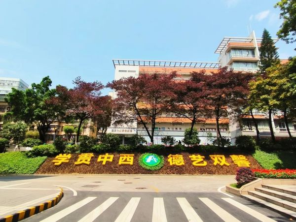 廣東省教育評價改革典型案例④