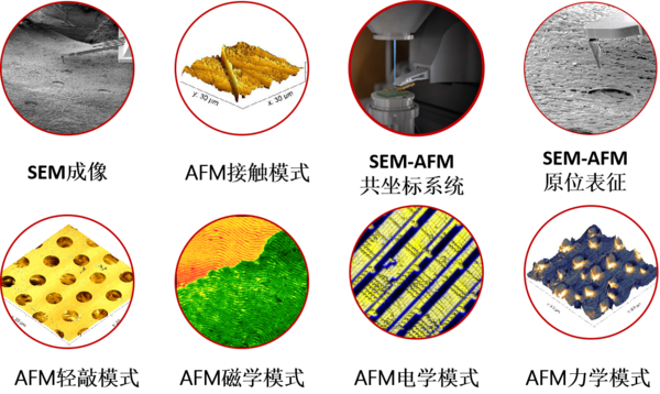 AFM/SEM二合一显微镜，一键触达感兴趣区域，三维形貌轻松表征！