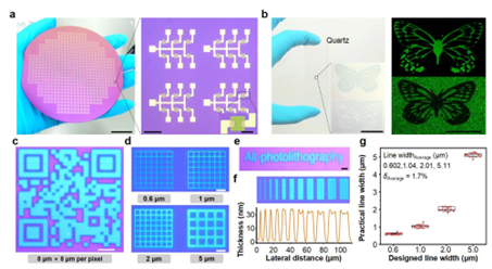 复旦大学Nat. Nanotechnol.：台式无掩膜直写光刻系统助力有机芯片重大突破！