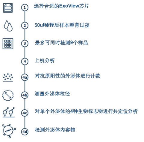 ExoView外泌体全面表征试剂盒测试服务正式上线 少量样品即可一次性完成外泌体全面分析！