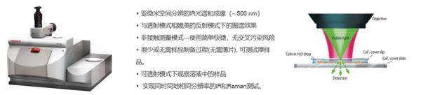 耶魯大學新進展！探索活細胞脂肪代謝過程：光學紅外顯微成像技術揭開DNL的奧秘