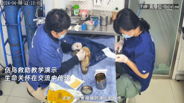 宇視科技對話全國600+校長，用科技踐行“文明其精神、野蠻其體魄”