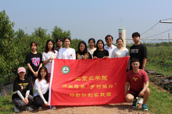 北京农学院：桃园里的“最美课堂”开讲了！师生桃农收获满满