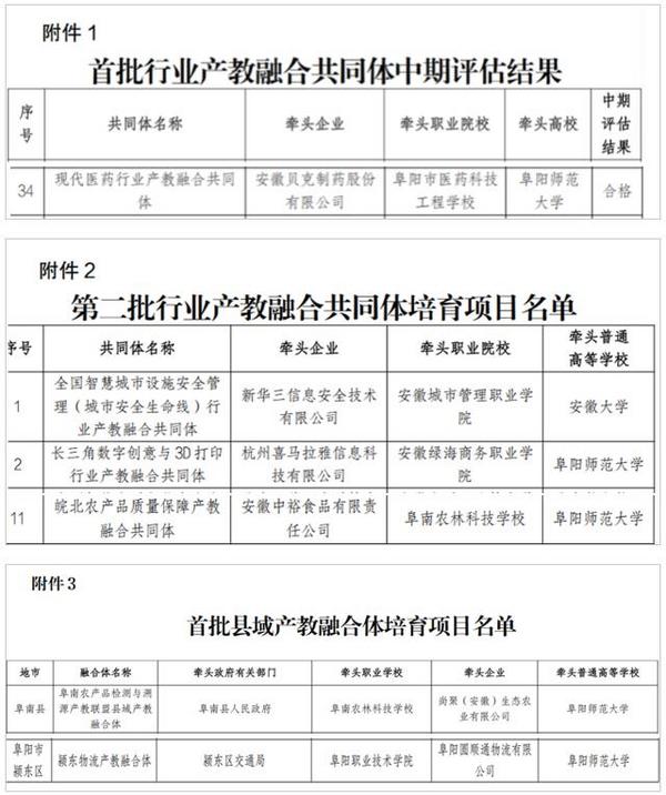 阜阳师范大学获批多个行业产教融合共同体项目