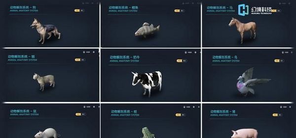 動物解剖虛擬仿真教學軟件：VR不僅是娛樂,還是強大的教學工具