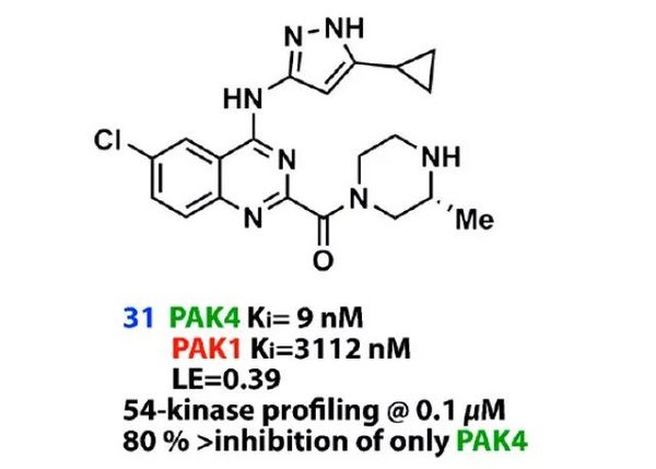 高活性高選擇性 PAK4 抑制劑的發現 | MedChemExpress