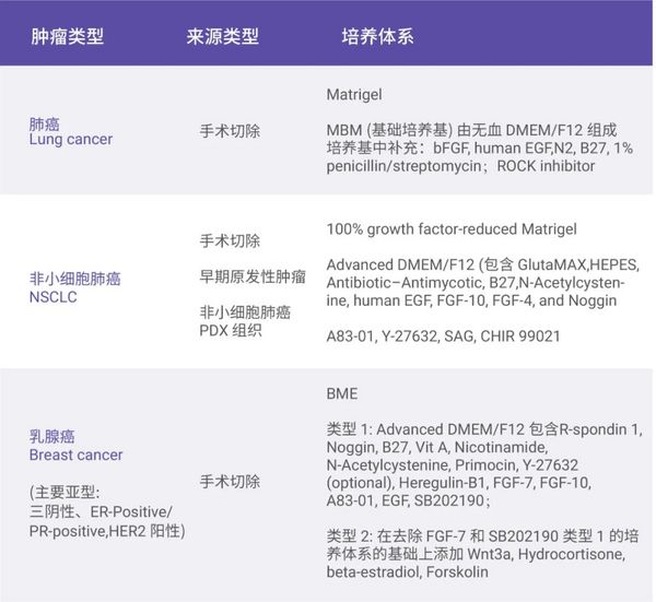 憑什么說腫瘤類器官是“試藥替身”？- MedChemExpress