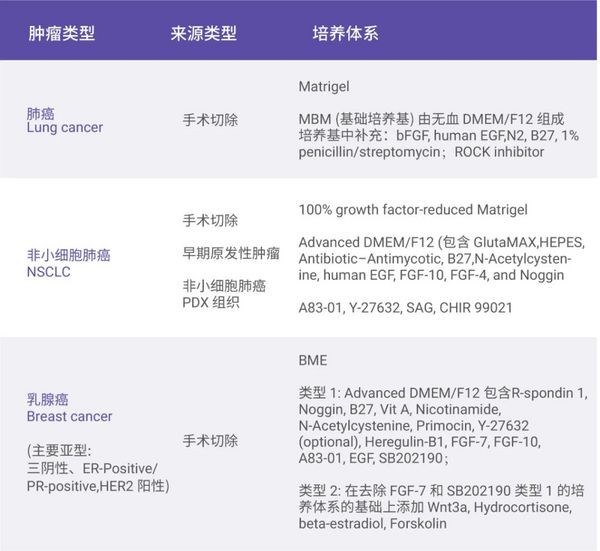 凭什么说肿瘤类器官是“试药替身”？- MedChemExpress