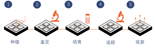 连发3篇hiPSC文章，单细胞可视化培养系统颠覆传统，分离效率高达100%！